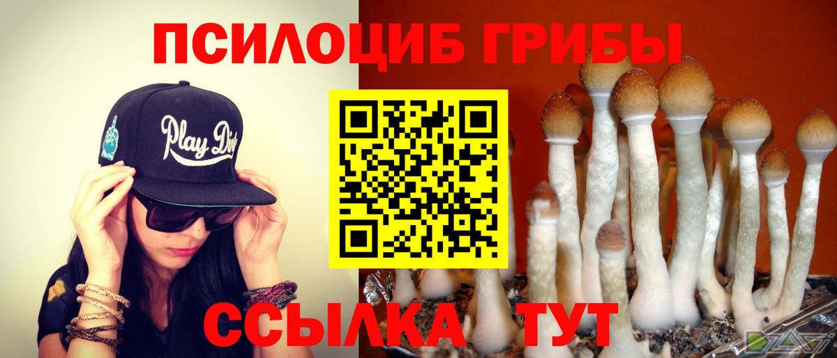Псилоцибиновые грибы Psilocybe  Вход с VPN  Галлюциногенные грибы Magic Shrooms  Рязань 